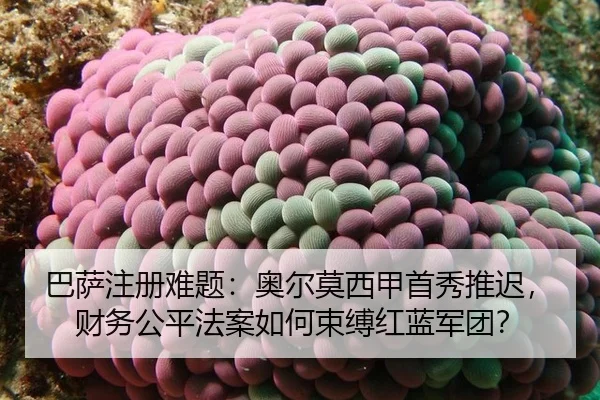 ba-sa-zhu-ce-nan-ti-ao-er-mo-xi-jia-shou-xiu-tui-chi-cai-wu-gong-ping-fa-an-ru-he-shu-fu-hong-lan-jun-tuan-2-305.jpg