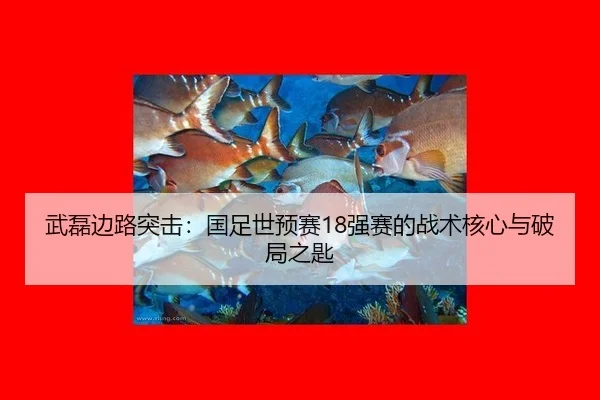 武磊边路突击：国足世预赛18强赛的战术核心与破局之匙