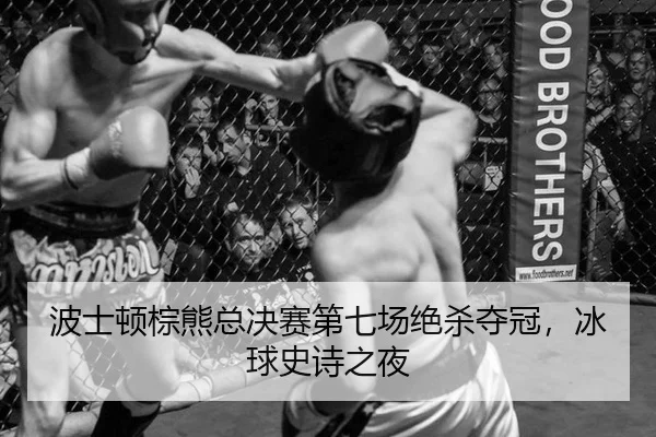波士顿棕熊总决赛第七场绝杀夺冠，冰球史诗之夜