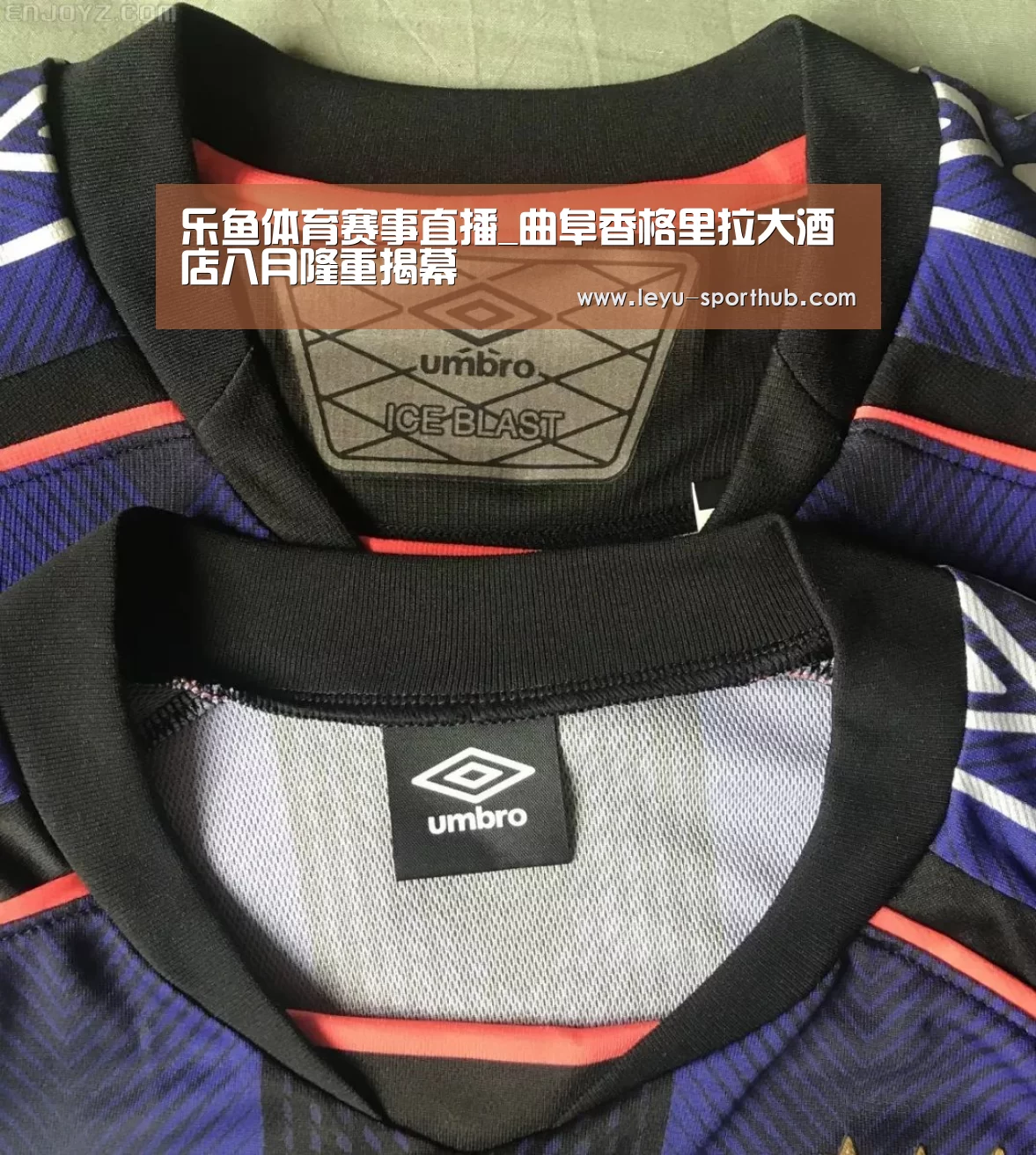 乐鱼体育平台