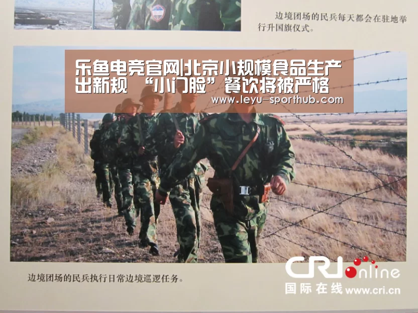 乐鱼电竞官网